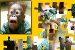 Majmun puzzle Igre